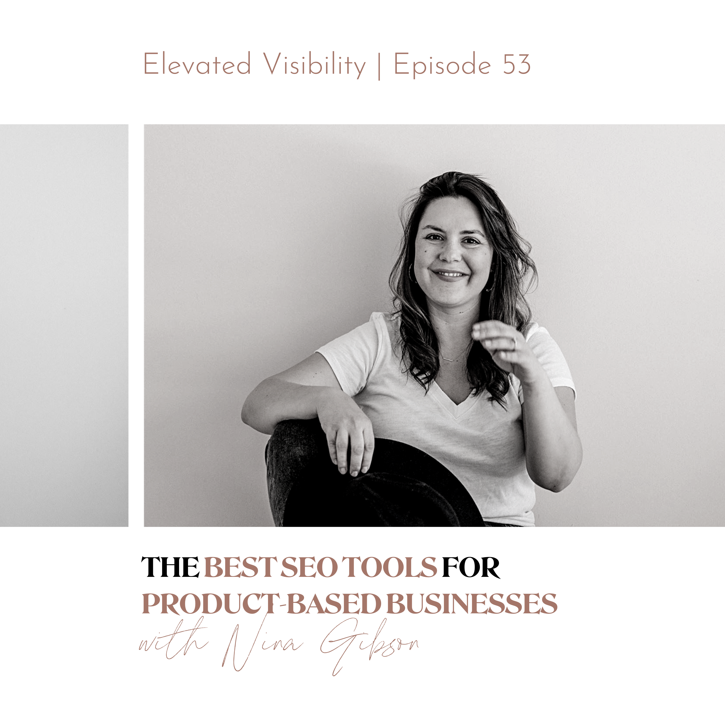 Elevated Visbility episode 53 The Best SEO Tools for Product-Based Businesses featured image