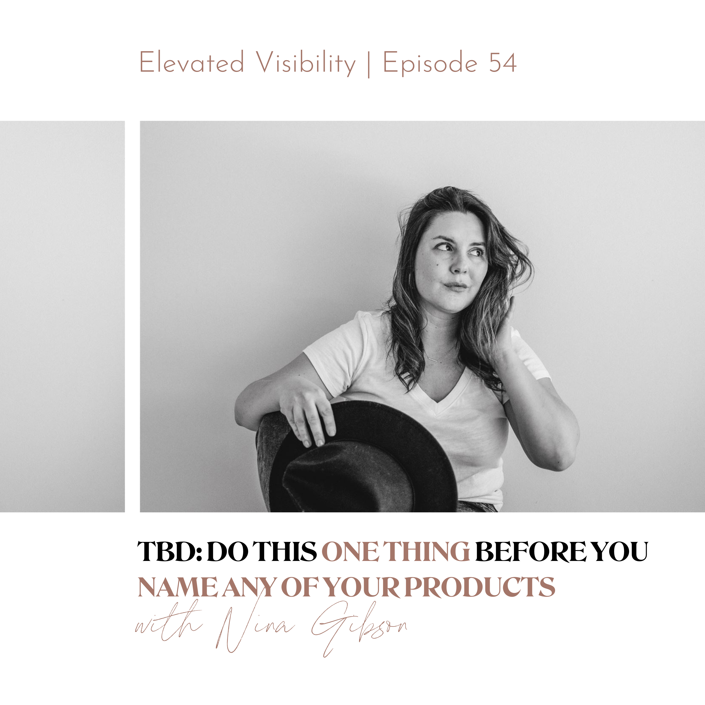 Elevated Visibility episode 54 TBD: Do This One Thing Before You Name Any Of Your Products - featured image